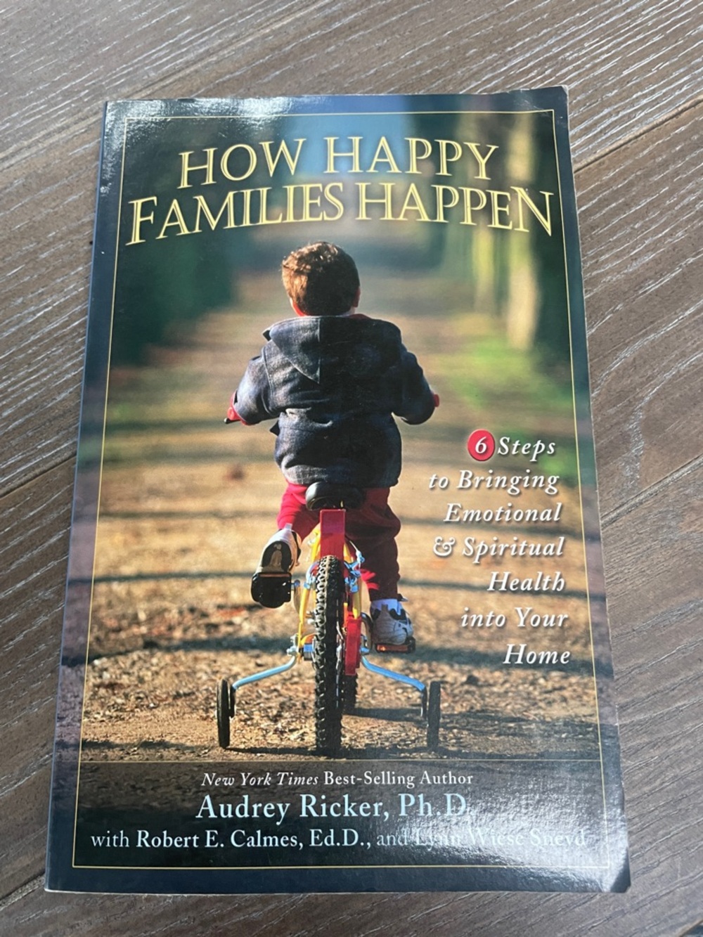 How Happy Families Happen — Audrey Ricker